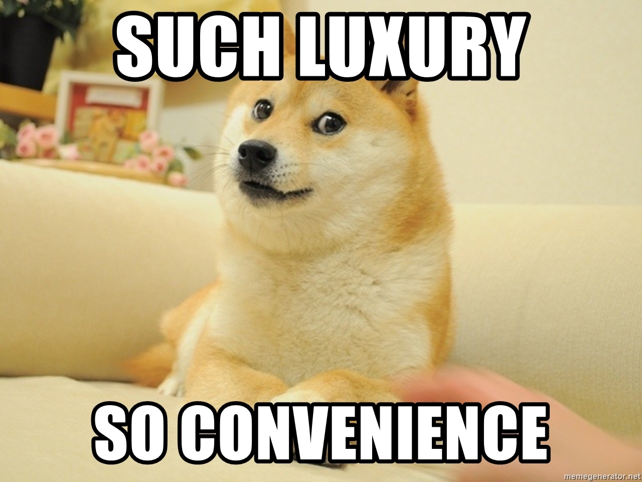 such-luxury-so-convenience.jpg