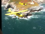2011 West Coast Cub Formation Fly.jpg